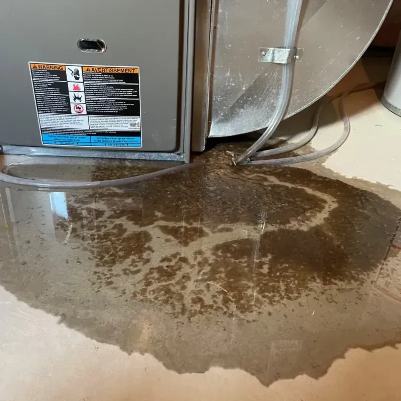 Appliance Leak Cleanup in Todd County, KY